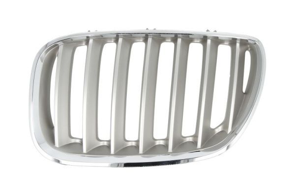 BLIC 6502-07-0095997P Radiator Grille