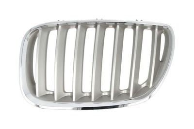 Radiator Grille BLIC 6502-07-0095997P