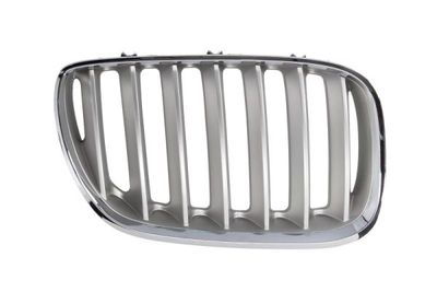 Radiator Grille BLIC 6502-07-0095998P