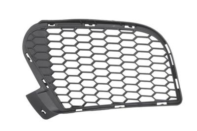 Ventilation Grilles, bumper BLIC 6502-07-0096913P