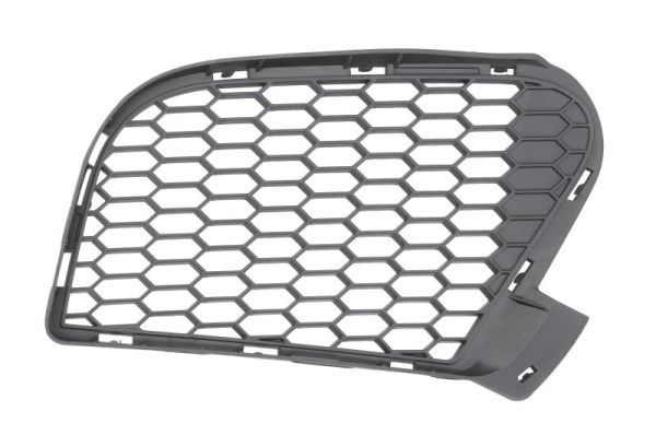 BLIC 6502-07-0096914P Ventilation Grilles, bumper