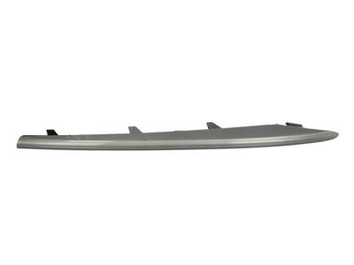 Trim/Protection Strip, bumper BLIC 6502-07-0096921P