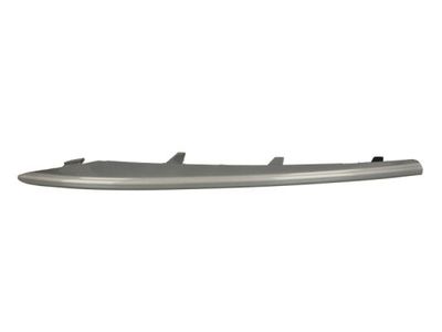 Trim/Protection Strip, bumper BLIC 6502-07-0096922P