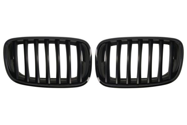 BLIC 6502-07-0096990KP Radiator Grille