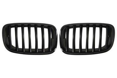 Radiator Grille BLIC 6502-07-0096990KP