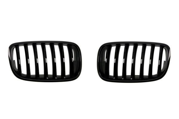 BLIC 6502-07-0096990P Radiator Grille