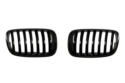 Radiator Grille BLIC 6502-07-0096990P