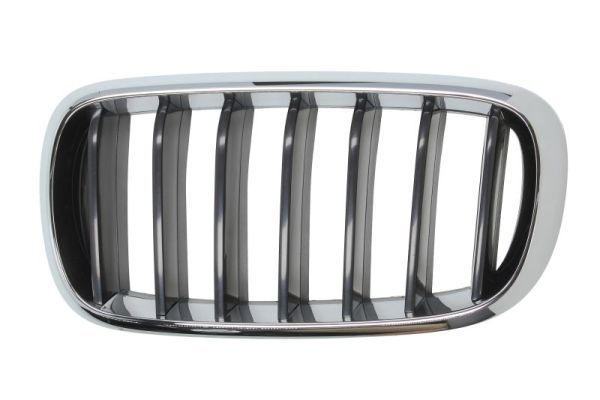 BLIC 6502-07-00969911P Radiator Grille