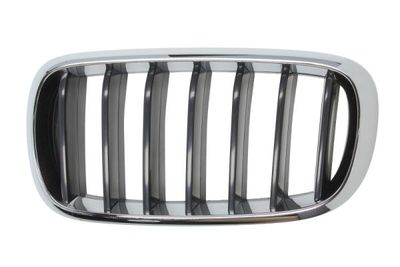 Radiator Grille BLIC 6502-07-00969911P