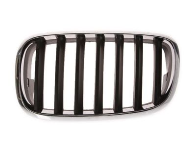 Radiator Grille BLIC 6502-07-0096991P