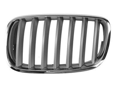 Radiator Grille BLIC 6502-07-0096991PP