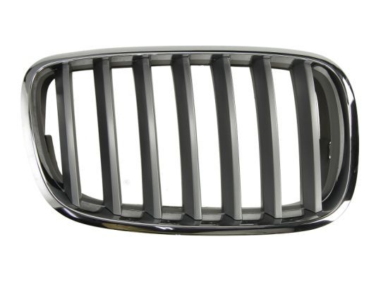 BLIC 6502-07-0096992PP Radiator Grille