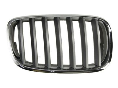Radiator Grille BLIC 6502-07-0096992PP