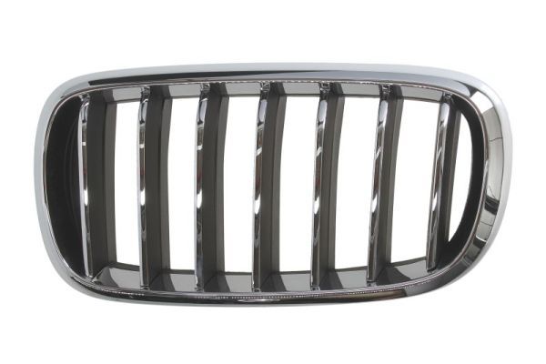 BLIC 6502-07-00969933P Radiator Grille