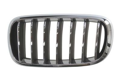 Radiator Grille BLIC 6502-07-00969933P
