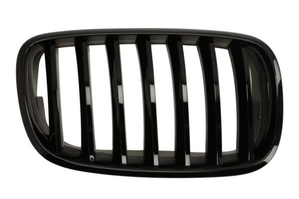 BLIC 6502-07-0096994PP Radiator Grille