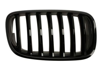 Radiator Grille BLIC 6502-07-0096994PP
