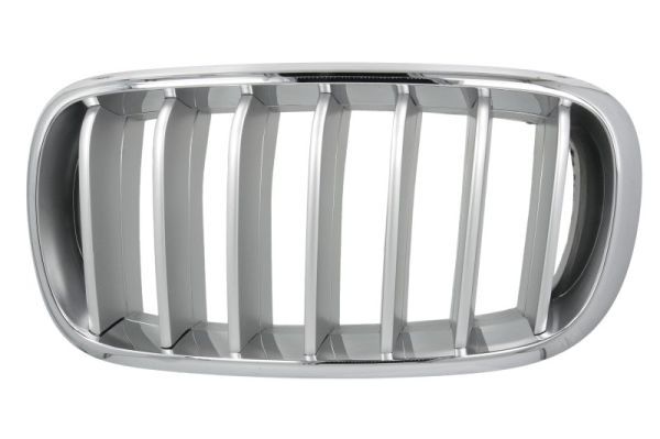 BLIC 6502-07-00969955P Radiator Grille