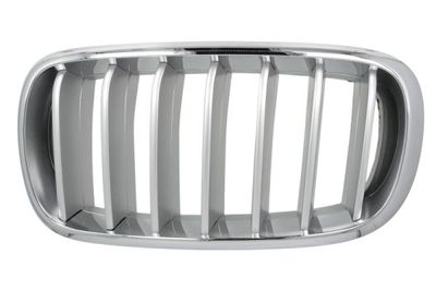 Radiator Grille BLIC 6502-07-00969955P