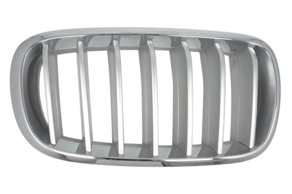 BLIC 6502-07-00969966P Radiator Grille