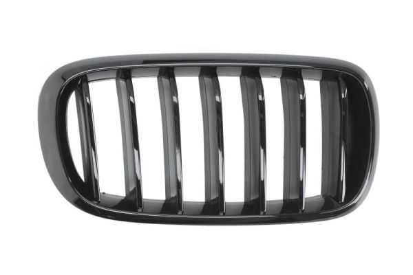 BLIC 6502-07-00969988P Radiator Grille