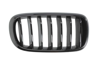 Radiator Grille BLIC 6502-07-00969988P
