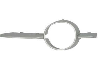 Trim/Protection Strip, bumper BLIC 6502-07-0099911PC