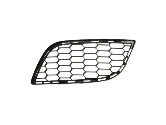 BLIC 6502-07-0105997P Ventilation Grilles, bumper