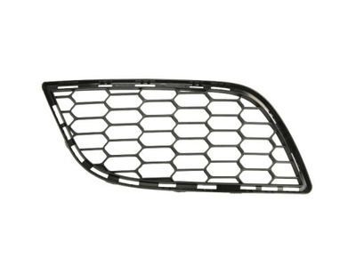 Ventilation Grilles, bumper BLIC 6502-07-0105998P