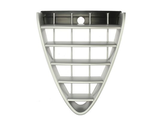 BLIC 6502-07-0109992P Radiator Grille