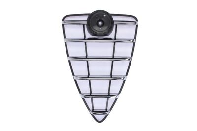 Radiator Grille BLIC 6502-07-0110991P