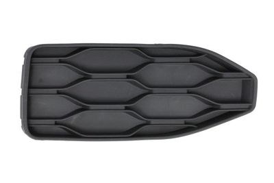 Ventilation Grilles, bumper BLIC 6502-07-0395923P