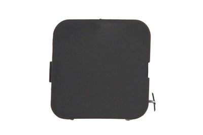 Bumper Cover, trailer hitch BLIC 6502-07-0501920P