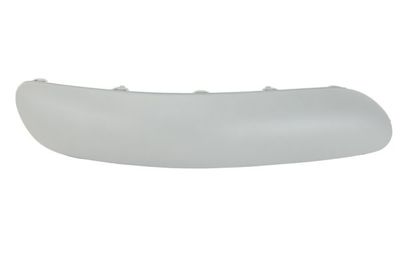 Trim/Protection Strip, bumper BLIC 6502-07-0519922P