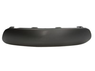 Trim/Protection Strip, bumper BLIC 6502-07-0519925P