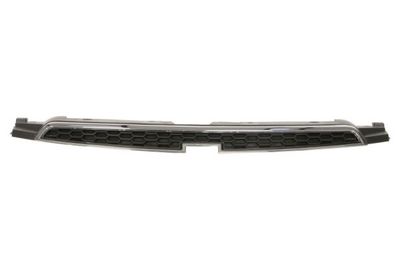 Radiator Grille BLIC 6502-07-1133990P