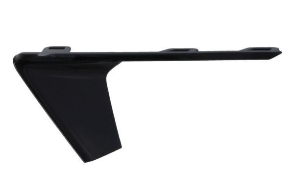 BLIC 6502-07-1196922P Trim/Protection Strip, bumper