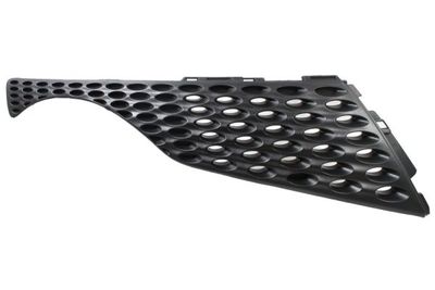 Radiator Grille BLIC 6502-07-1601992P