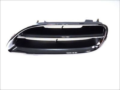 Radiator Grille BLIC 6502-07-1608995P