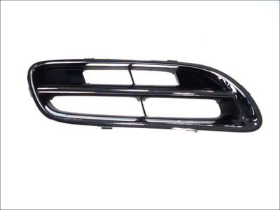 Radiator Grille BLIC 6502-07-1608996P