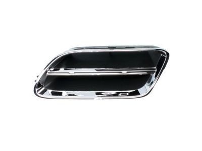 Radiator Grille BLIC 6502-07-1668991P