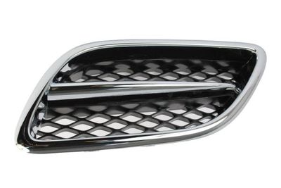 Radiator Grille BLIC 6502-07-1668995P