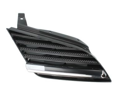 Radiator Grille BLIC 6502-07-1670992P