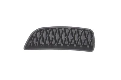 Ventilation Grilles, bumper BLIC 6502-07-2013995P