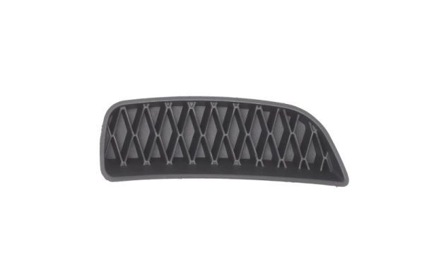 BLIC 6502-07-2013996P Ventilation Grilles, bumper