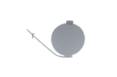 Flap, tow hook BLIC 6502-07-2019925P