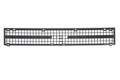 Radiator Grille BLIC 6502-07-2021993P