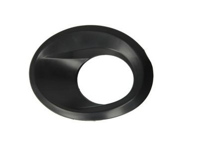 Ventilation Grilles, bumper BLIC 6502-07-2555997P