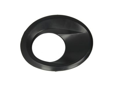 Ventilation Grilles, bumper BLIC 6502-07-2555998P