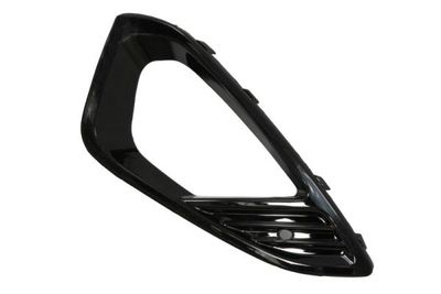 Ventilation Grilles, bumper BLIC 6502-07-2566996P